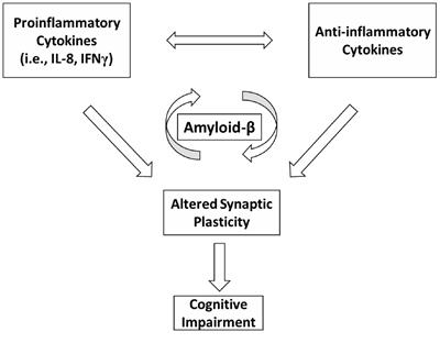 Amyloid-β Homeostasis Bridges Inflammation, Synaptic Plasticity Deficits and Cognitive Dysfunction in Multiple Sclerosis